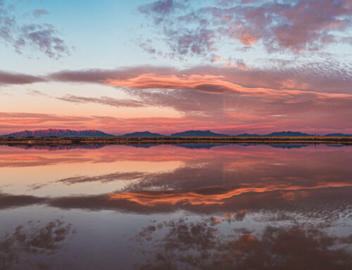 Symmetry at Sunrise
