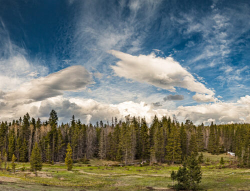 Beneath the Shifting Sky
